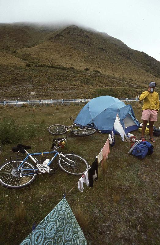 WT 0200 049-07 New Zealand.jpg